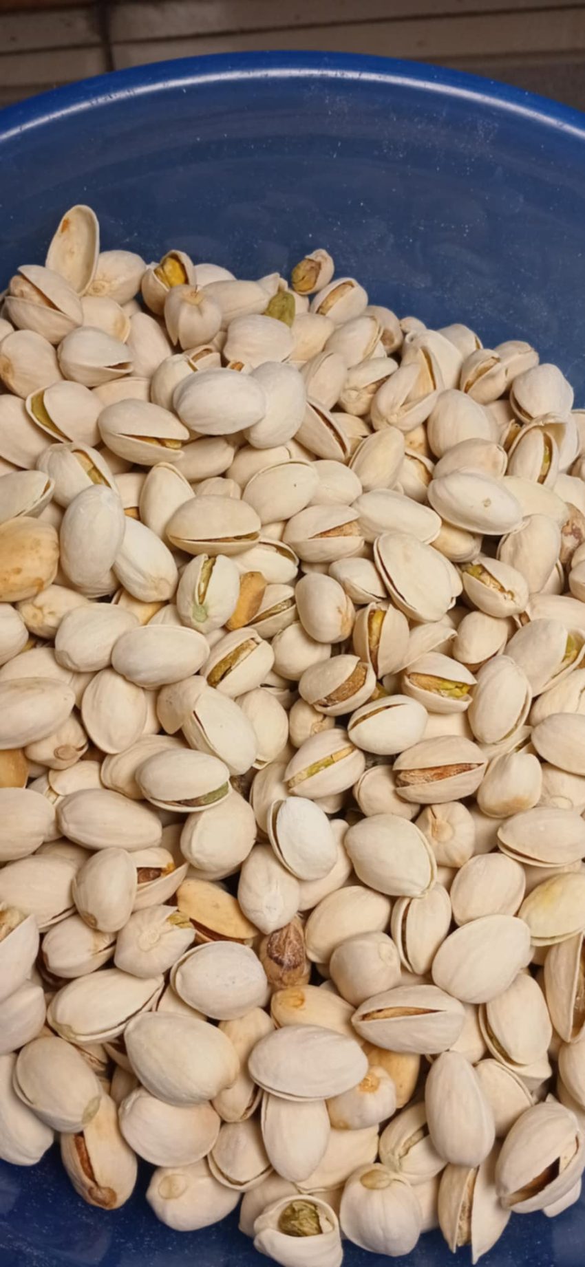 jual kacang pistachio