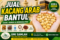 kacang arab bantul lengkap Jual Kacang Arab Bantul