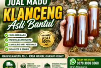 madu klanceng jogja madu klanceng jogja